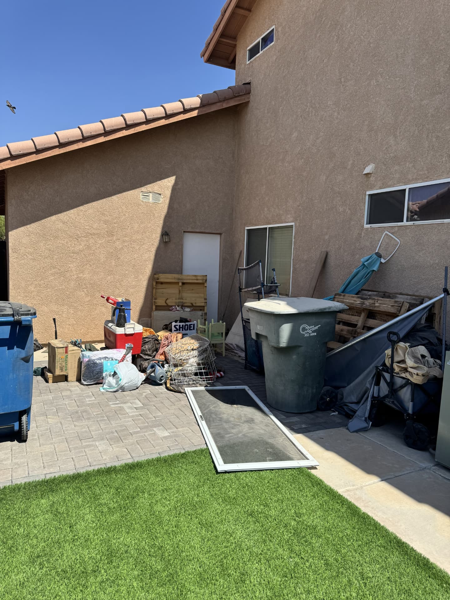 Backyard Cleanup before IVOS cleanup
