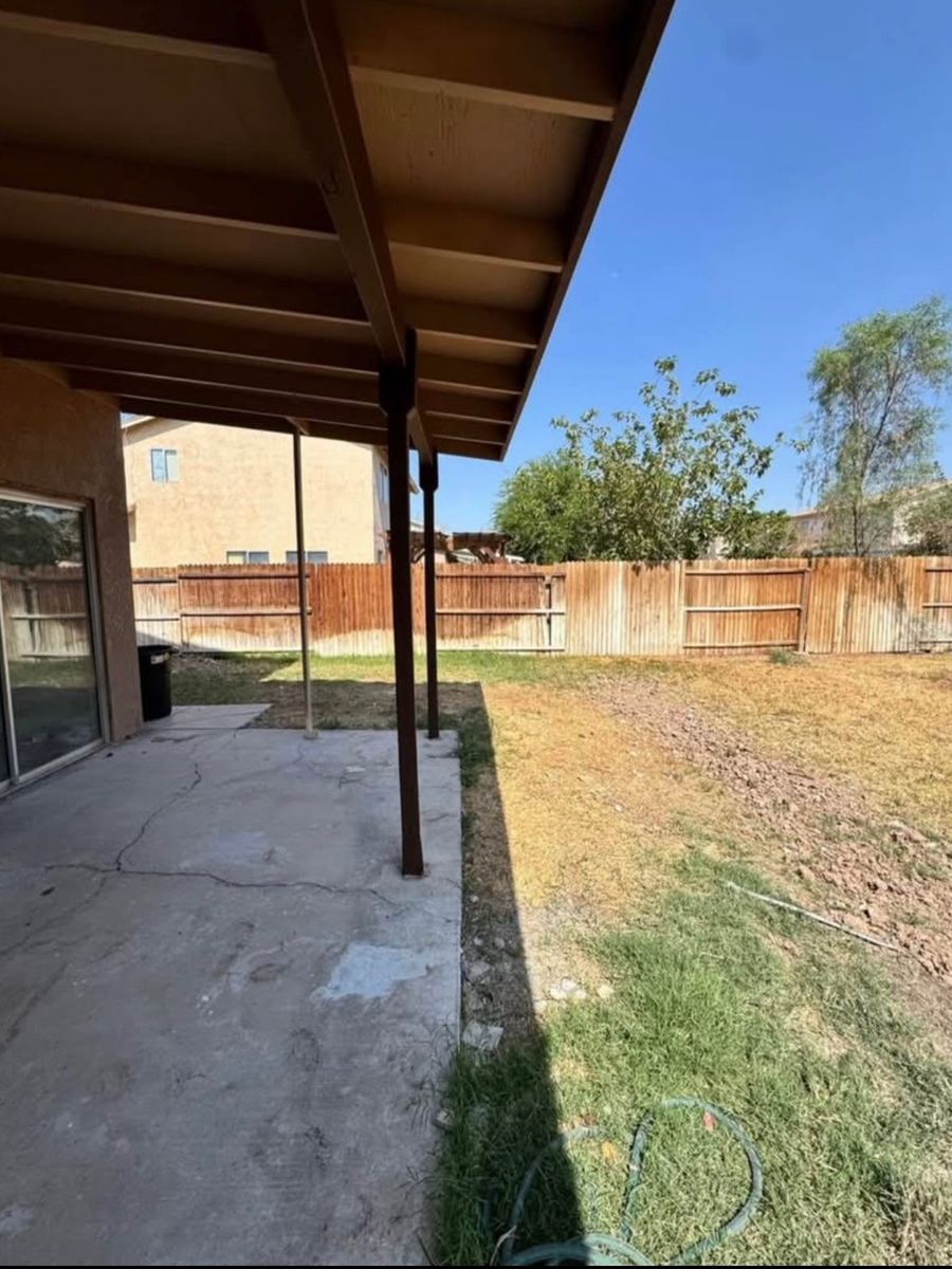 The same backyard emptied out